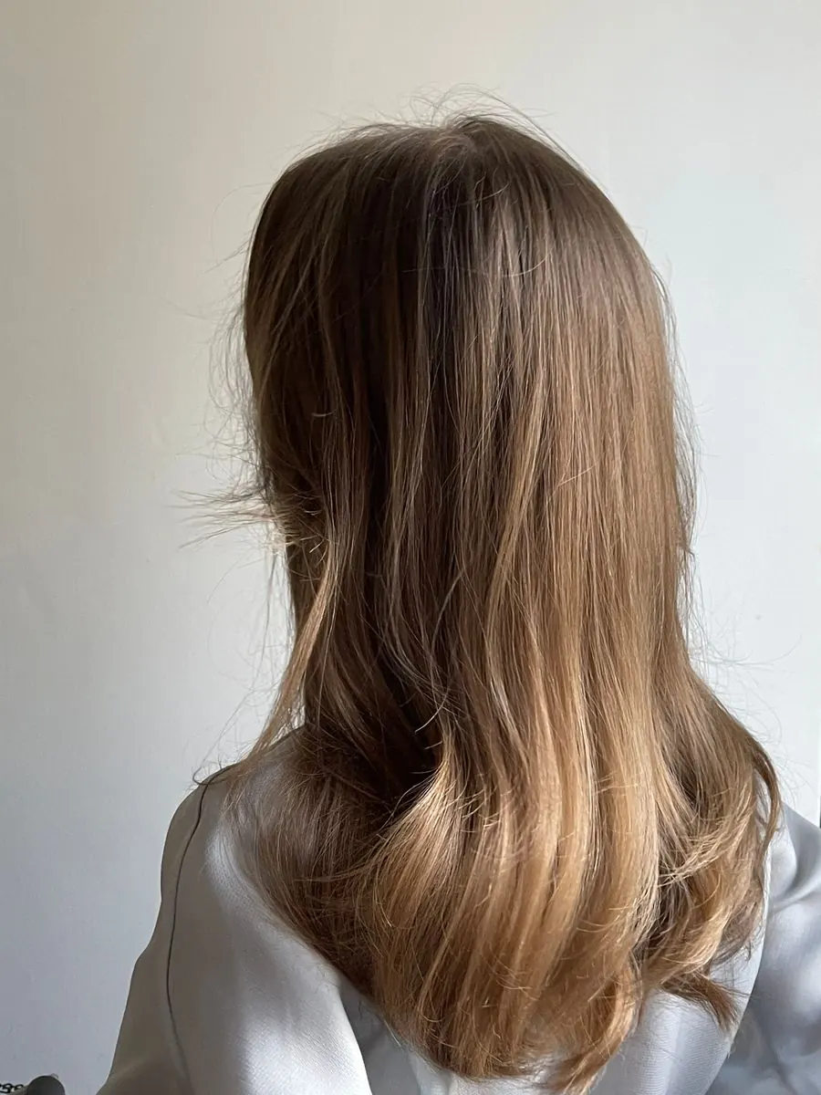 Cabello castaño con reflejos, liso y suelto, de espalda